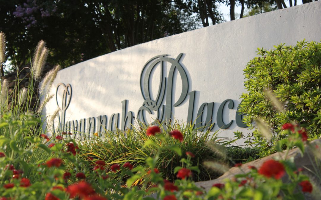 Landscaping Bids for 2025